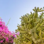 Bitacora Lanzarote Club Lejlighed Puerto del Carmen (Lanzarote)